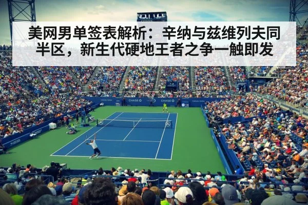 US Open tennis hard court(jiuyouhui)