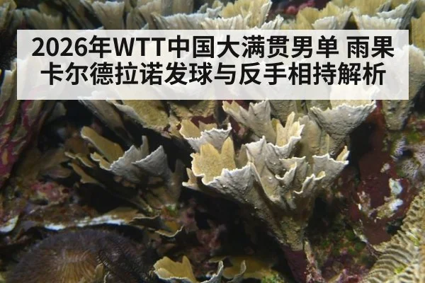 2026年WTT中国大满贯男单 雨果卡尔德拉诺发球与反手相持解析