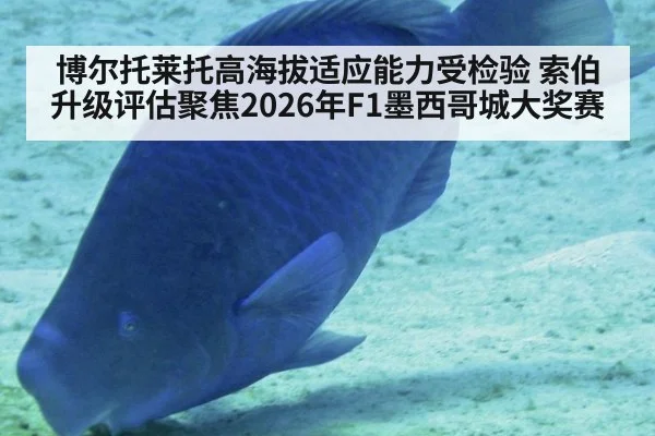 博尔托莱托高海拔适应能力受检验 索伯升级评估聚焦2026年F1墨西哥城大奖赛